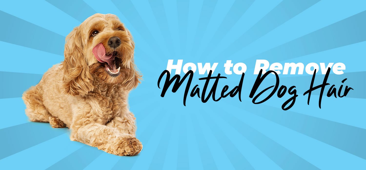 how to remove matted dog hair
