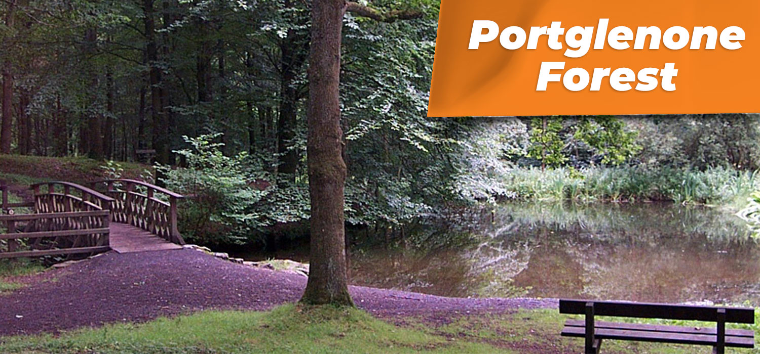 Portglenone Forest