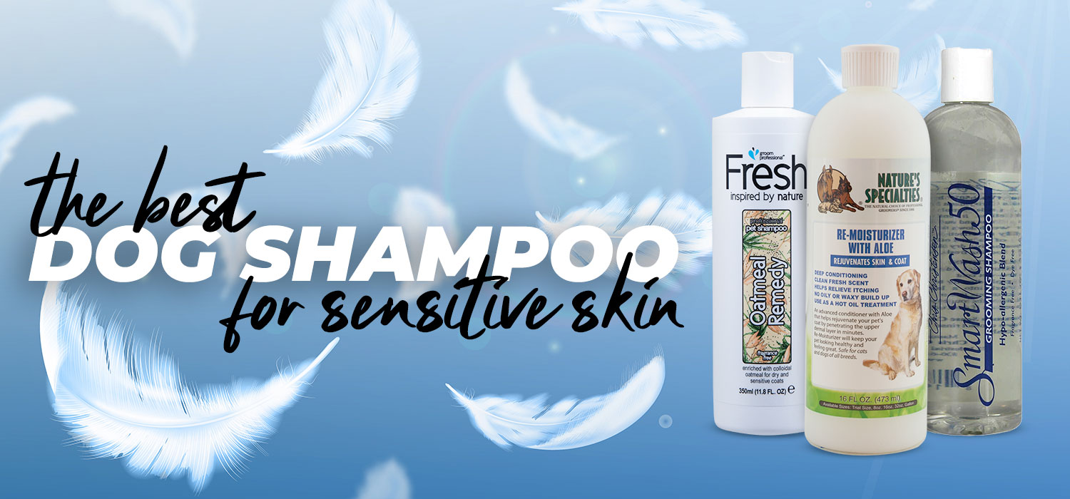 the best dog shampoo for sensitive skin