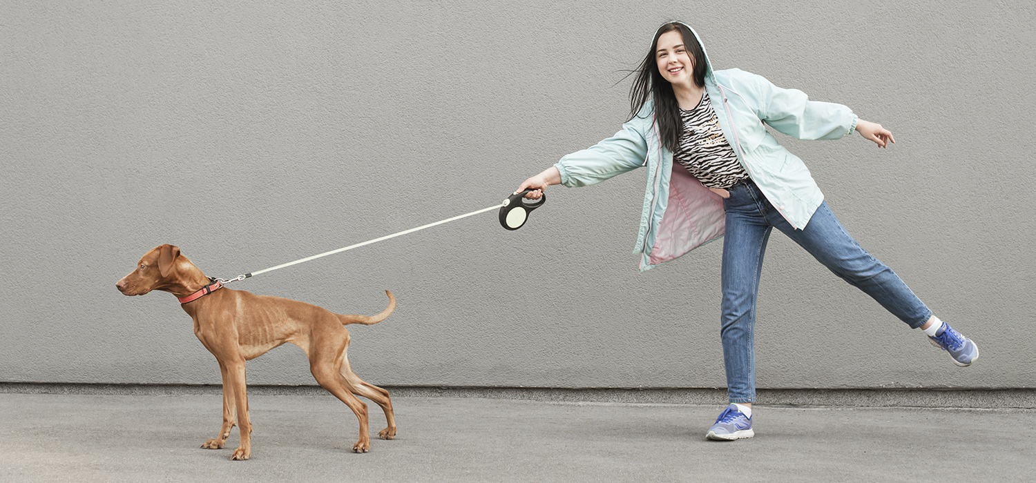 dog pulling on leash