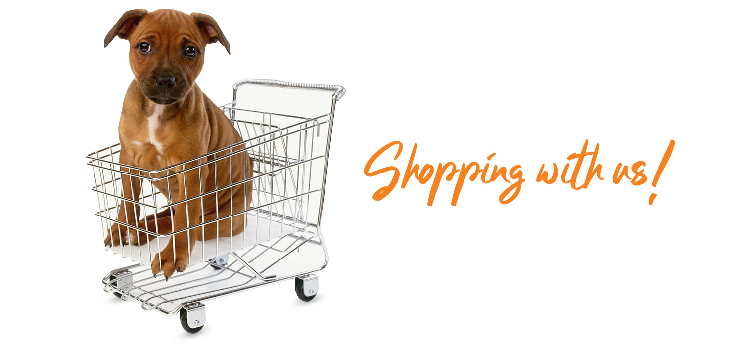 dog in trolley with 