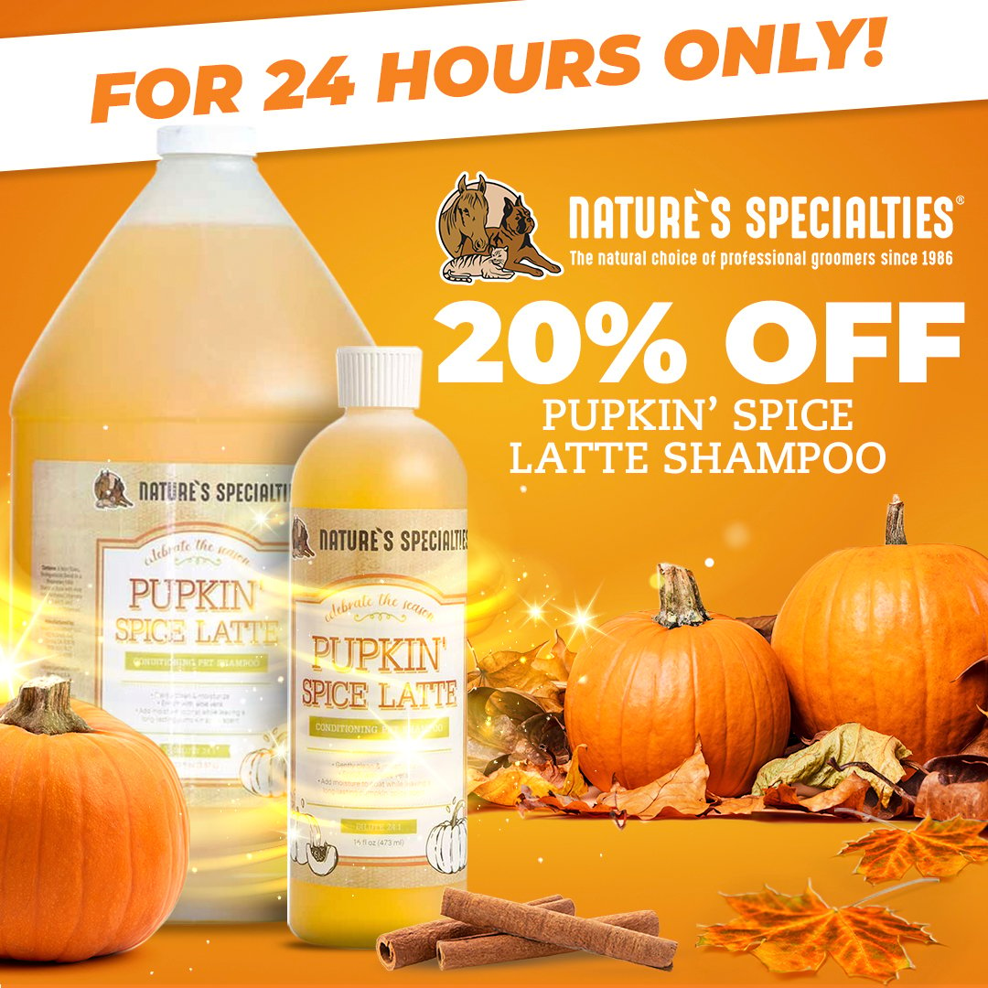 pupkin spice pumpkin spice shampoo