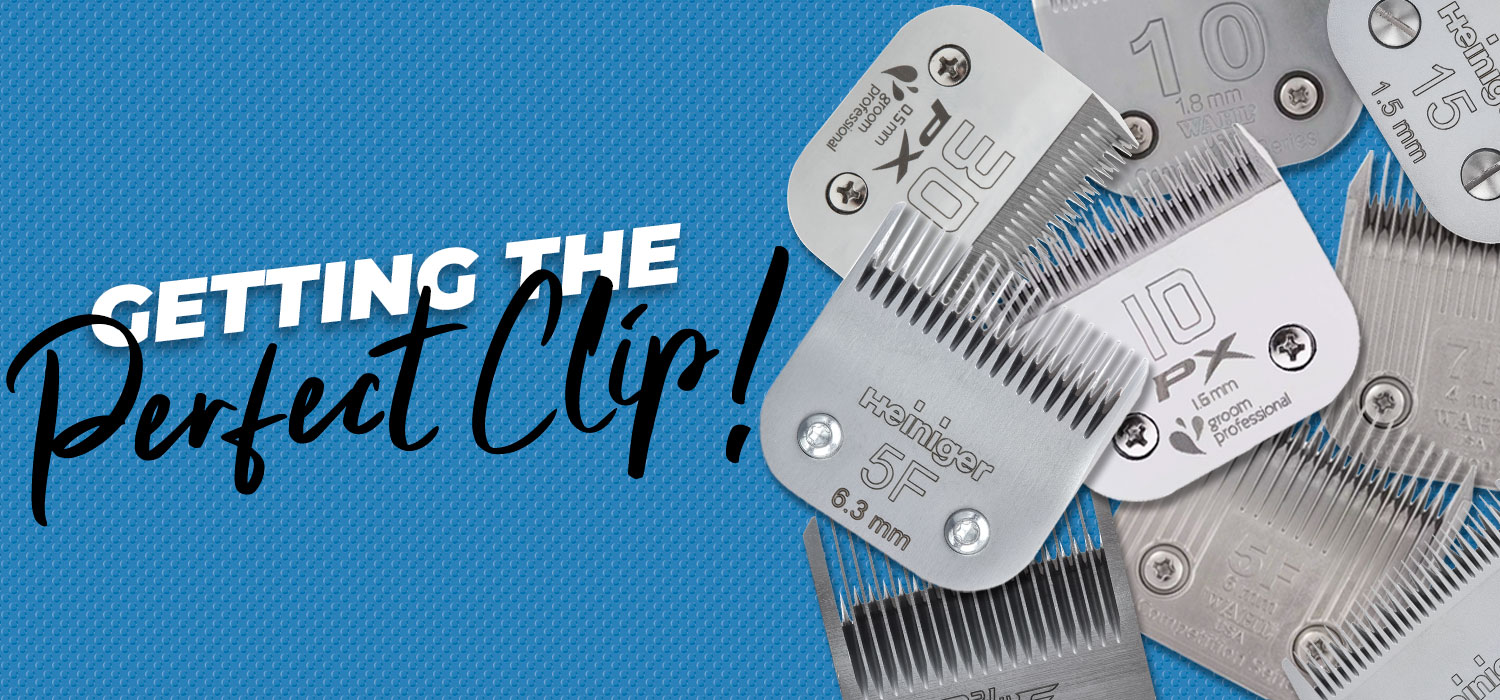 clipper blades with text "getting the perfect clip"