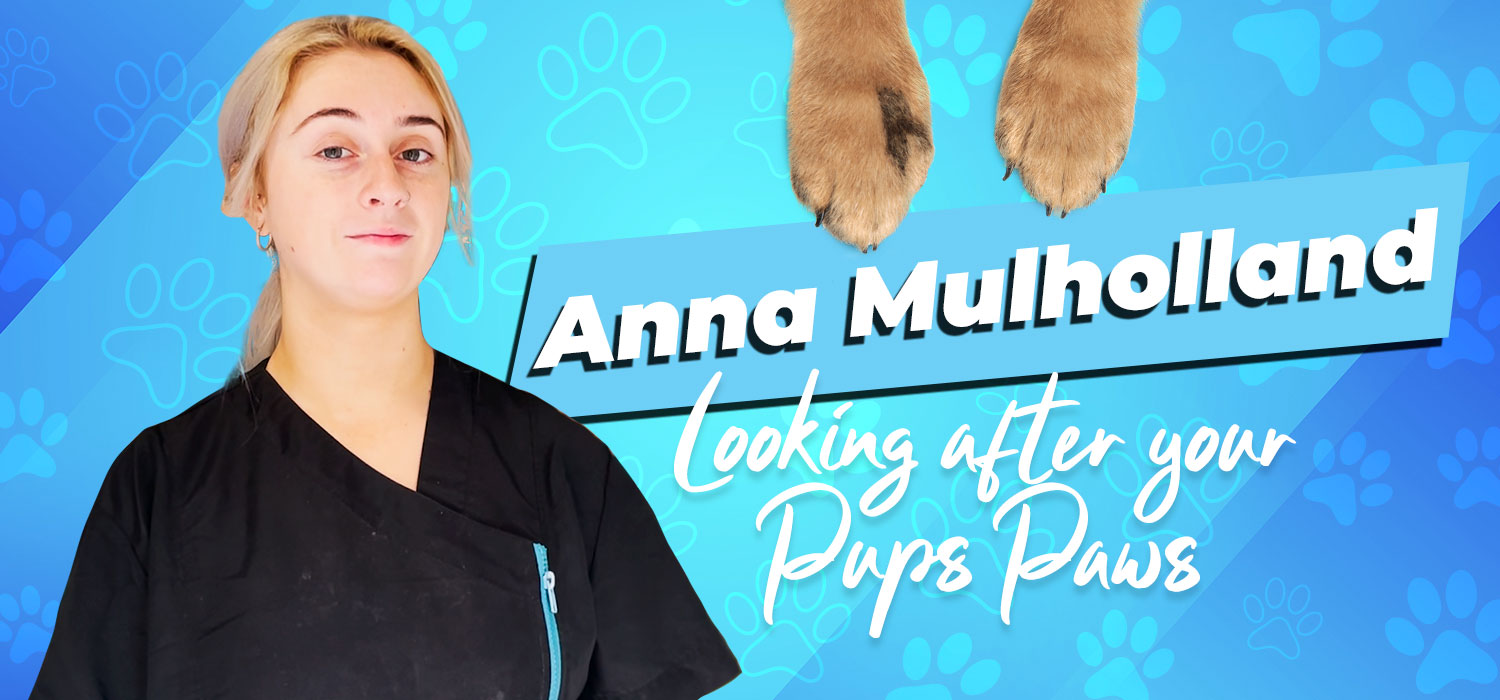 Paws with text "Anna Looking after your pups paws"