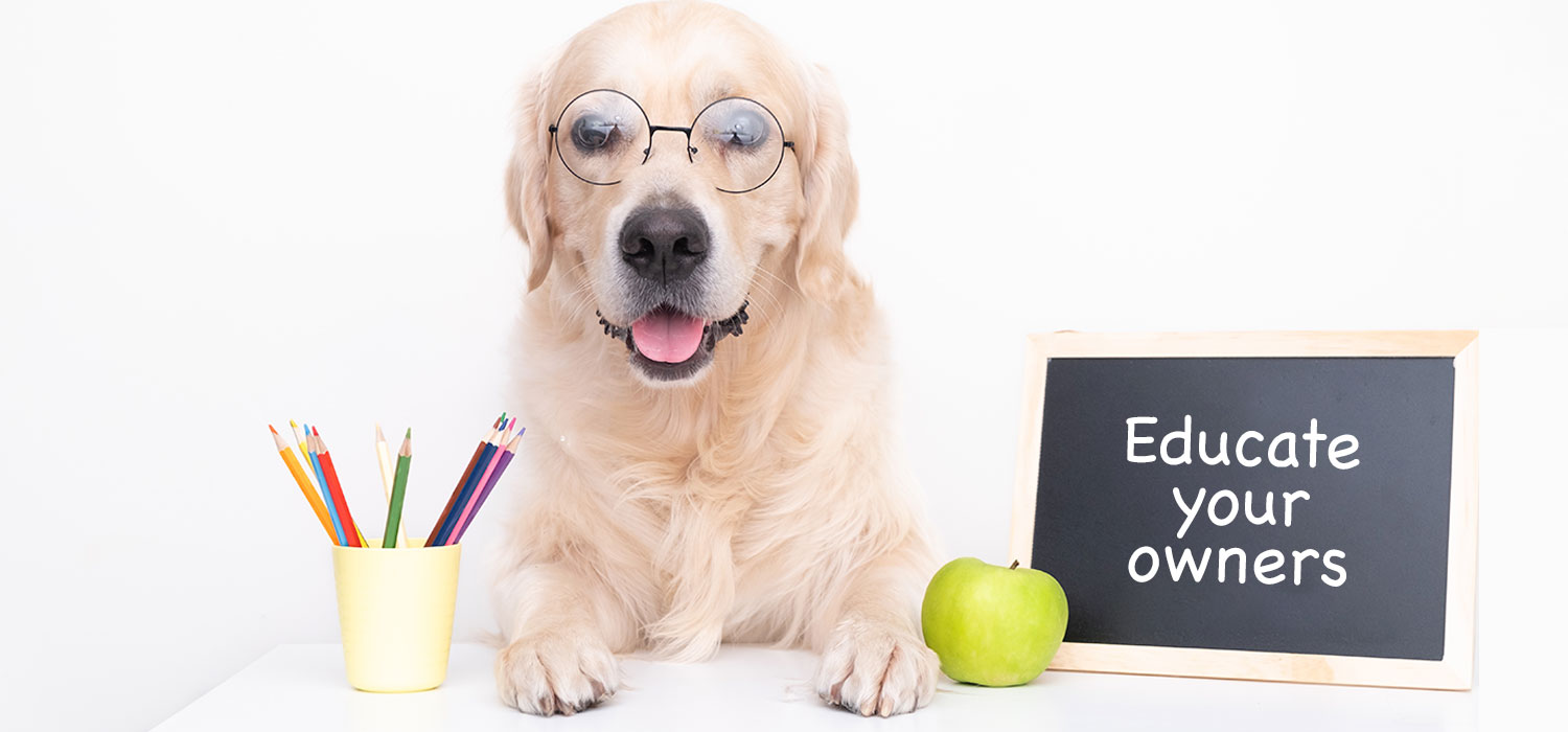 dog with glasses and text "educate your owners"