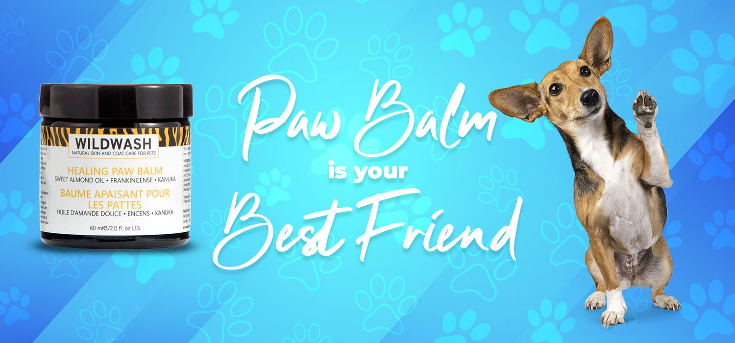 wildwash paw balm