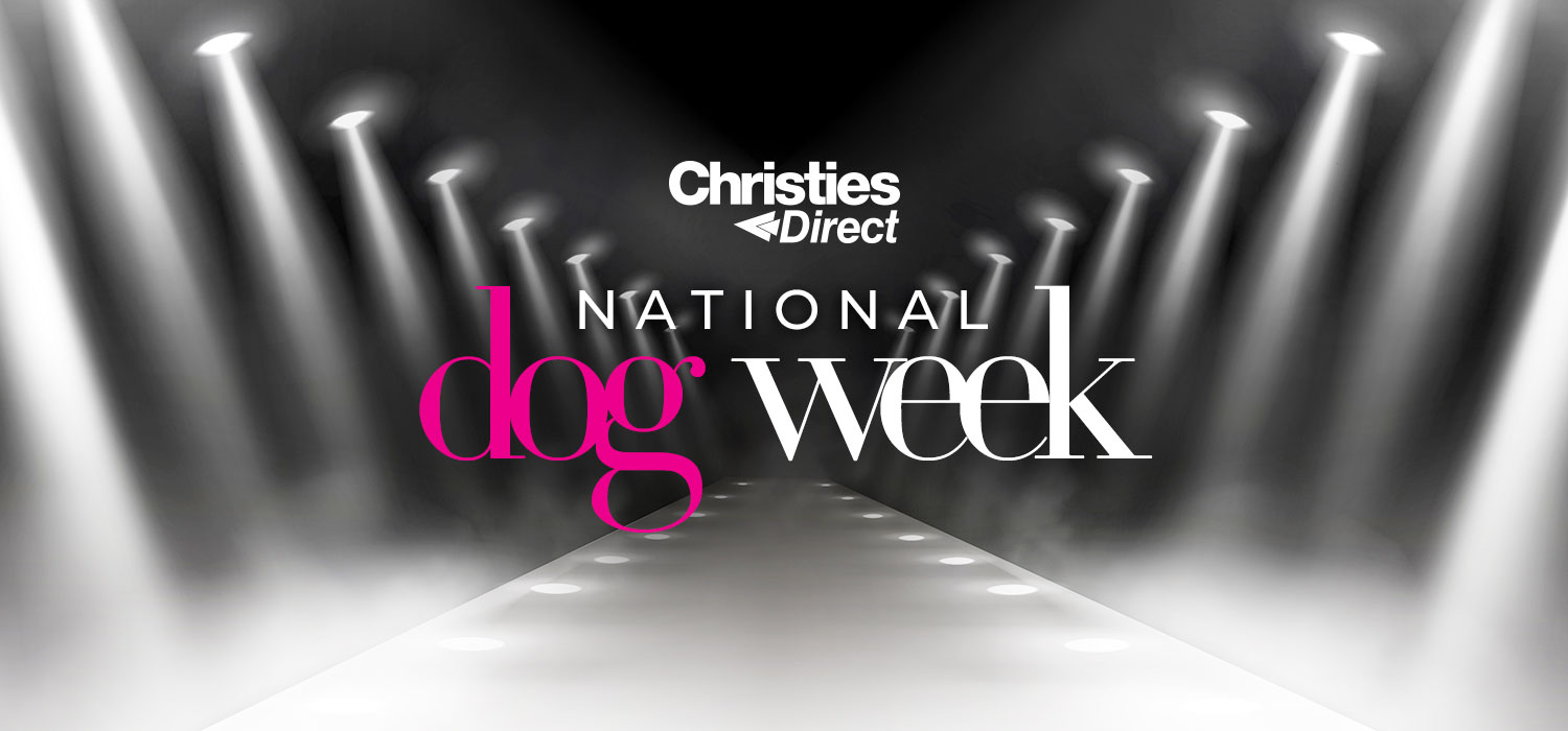 national dog week