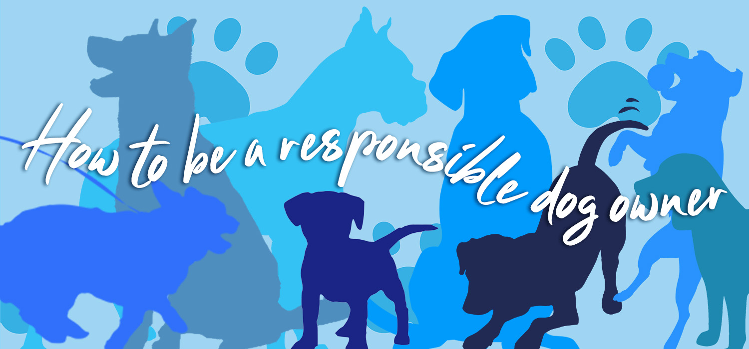 dog silhouette with text "how to be a responsible dog owner"