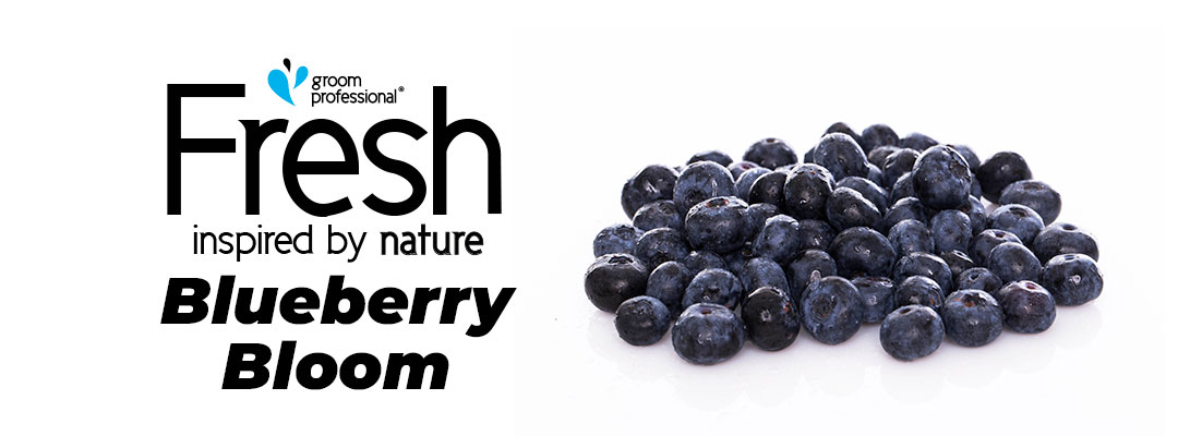 Groom Professional Fresh Blueberry Bloom