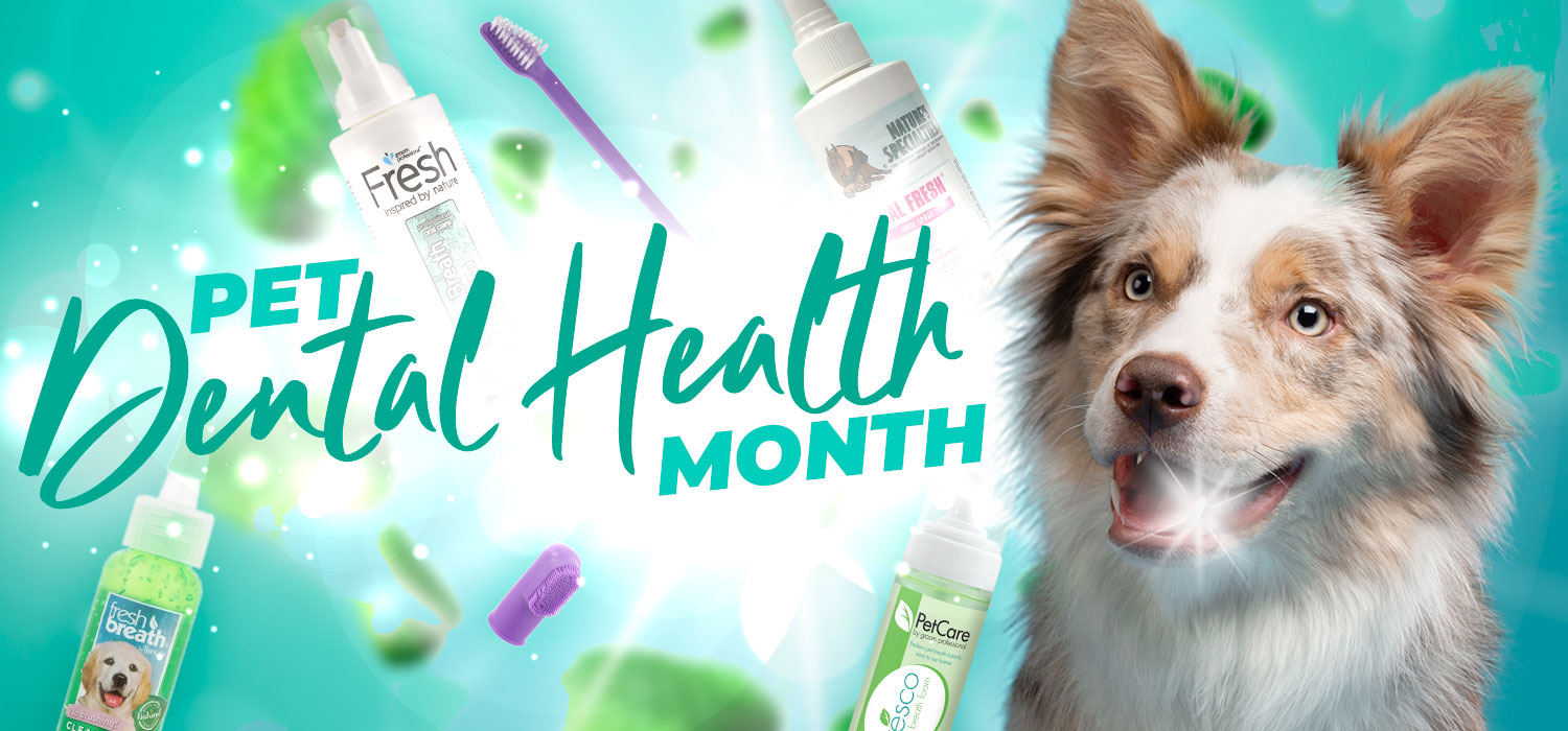 Pet Dental Health Month Products with dog