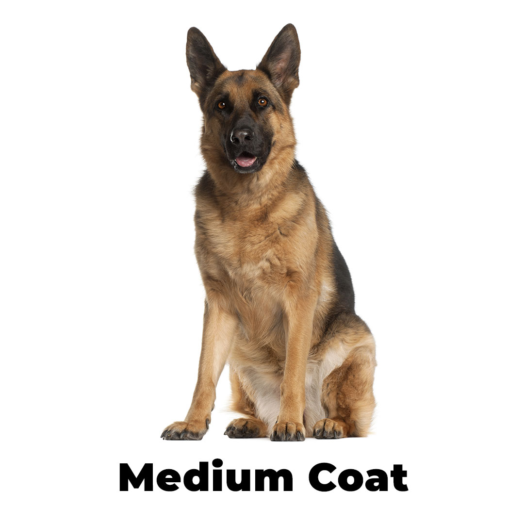 Medium Coat