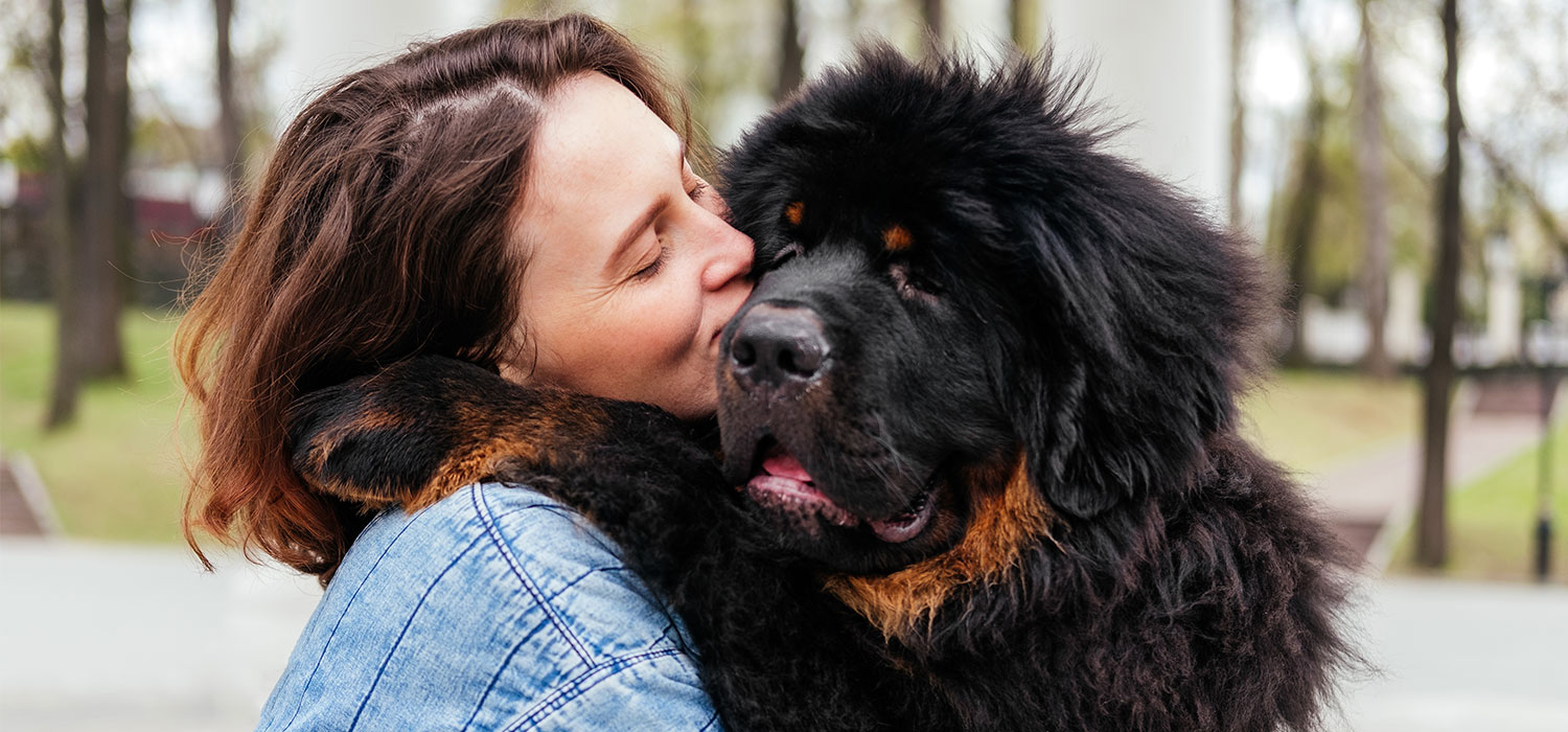 dog and owner