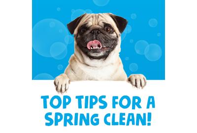 Top Tips for a Spring Clean