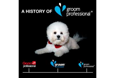 History of Groom Professional