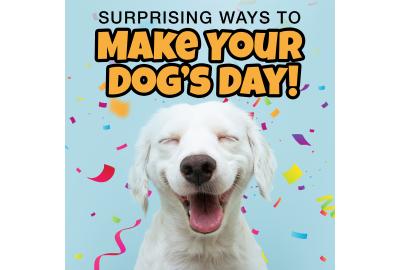 Surprising Ways to Make Your Dog's Day