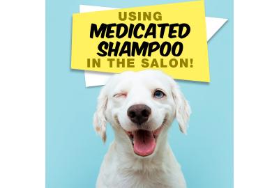 Using Medicated Shampoos in Your Dog Grooming Salon