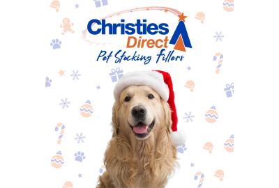 Christies Christmas Gifting – Pet Stocking Fillers