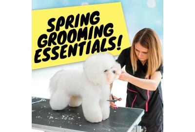 Spring Grooming Tips