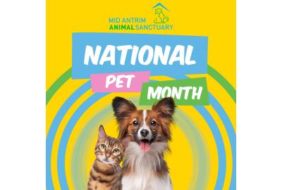 UK National Pet Month
