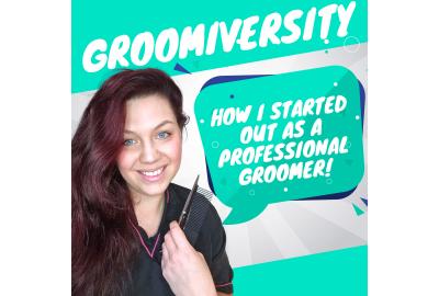 Groomiversity - My Journey to Becoming a Professional Groomer