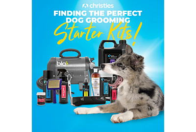 Finding the Perfect Dog Grooming Starter Kit