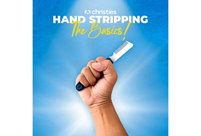 "Mastering the Art of Hand-Stripping: A Comprehensive Guide to Grooming Your Dog Like a Pro