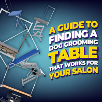 A guide to finding a dog grooming table that works for your salon 