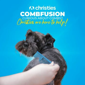 Curious about Combs? Christies are here to help! 