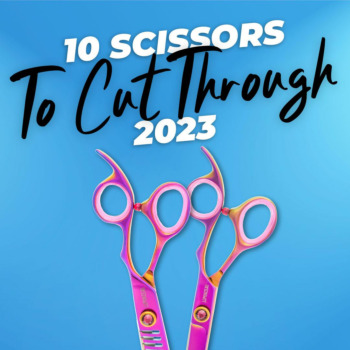 10 Best Dog Grooming Scissors to Cut Through 2023