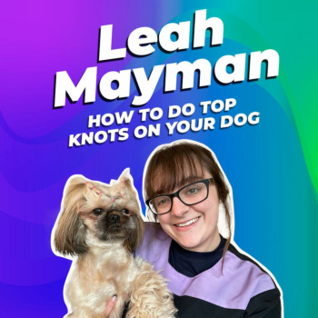 Leah Mayman How To Do Top Knots on Your Dog