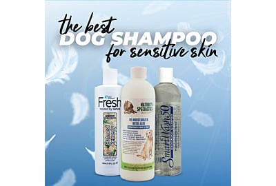 The Best Dog Shampoo for Sensitive Skin