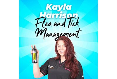 Kaylas Tips for Flea and Tick Management 