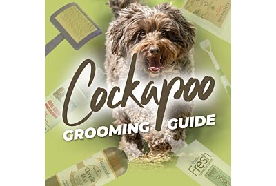 Cockapoo Grooming Guide: Top Tips for a Healthy, Happy Pup