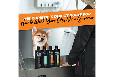Wash Like a Pro - The Christie’s Direct Guide for How to Wash Your Dog Like a Groomer.