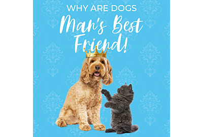 Why are Dogs’ Man’s Best Friend?