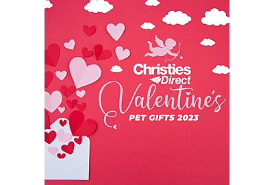 The Best Grooming Gifts to Treat Your Dog Valentine’s Day 2023
