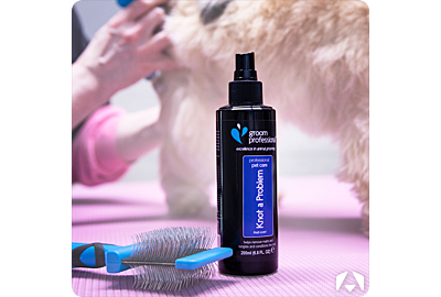 Dematting Grooming Tips You Need To Know 