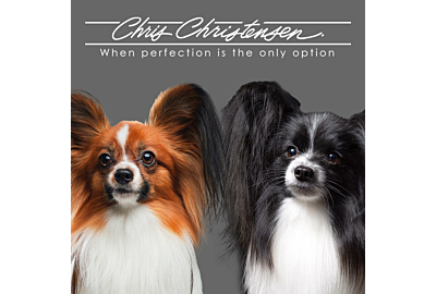 Why is Chris Christensen one of the biggest names in show dog grooming?