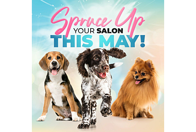 Spruce up your salon this May