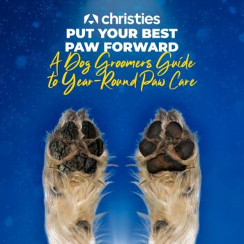 Put Your Best Paw Forward: A Dog Groomers Guide to Year-Round Paw Care