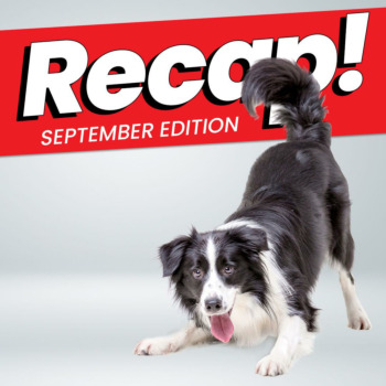 Recap! September Edition: Dryers, Discounts and DivideBuy!