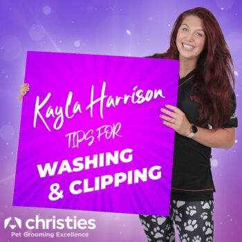 Kayla's Tips for Washing & Clipping