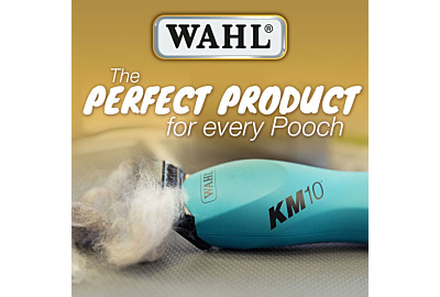 WAHL: The Perfect Dog Grooming Product for Every Pooch