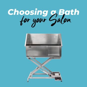 Choosing the Right Bath for Your Dog Grooming Salon