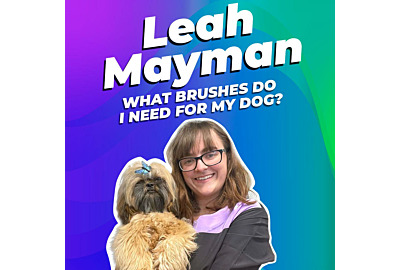 Leah Mayman: What brushes do I need for my dog? 