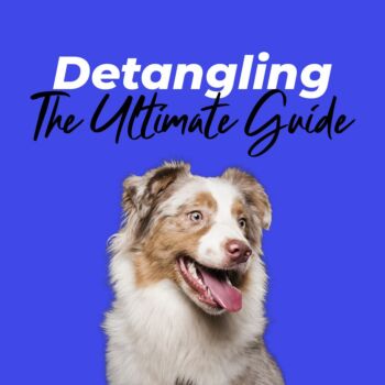 The Ultimate Guide to Knot-Free Canine Coats: How to Detangle Your Dog’s Fur at Home