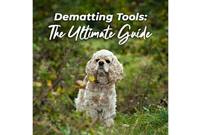Dematting 101: The Ultimate Guide to Safe and Efficient Dog Grooming