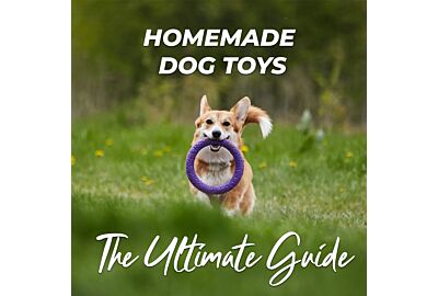 The Ultimate Guide to Homemade Dog Toys: Fun and Safe DIY Projects
