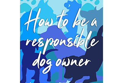 How to be a responsible dog owner