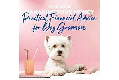 Managing Your Money: Practical Financial Advice for Dog Groomers